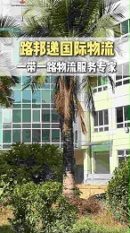 20年国际物流老品牌