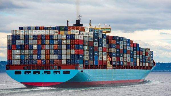 破解马来西亚及东南亚清关难题，路邦递提供一站式木材进口解决方案